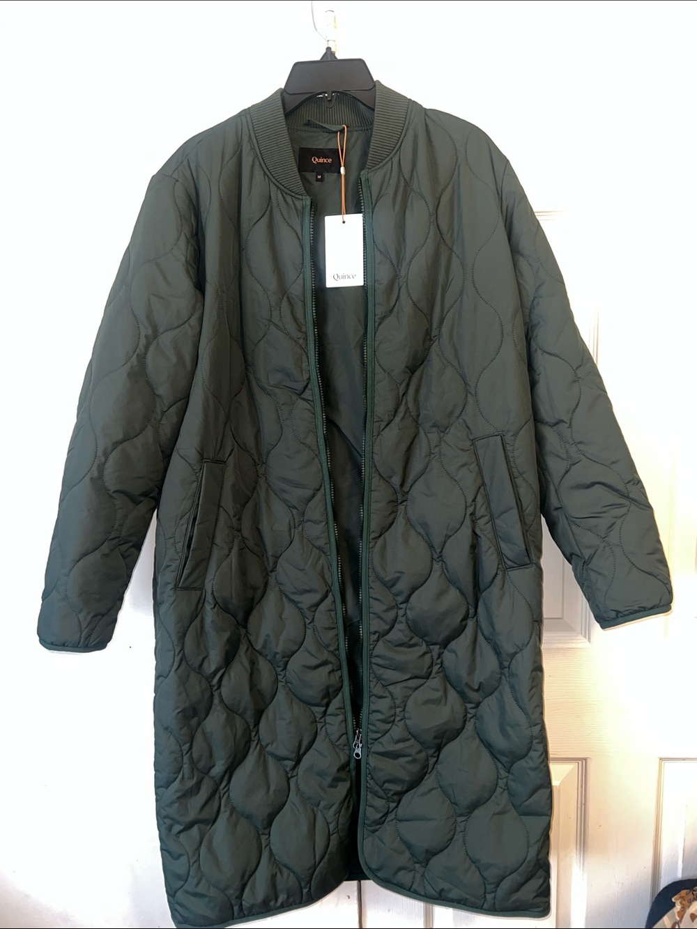 Quince featherless long puffer coat..